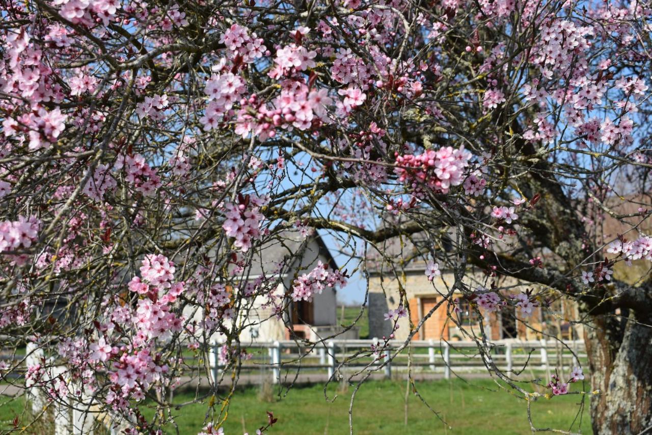 Marcheseuil Le Chene D'Or B&B 외부 사진