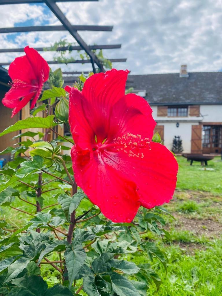 Marcheseuil Le Chene D'Or B&B 외부 사진